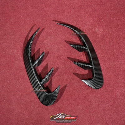 A-CLASS W177 A200 A250 A35 A45s Rear Canard TAKD Dry Carbon